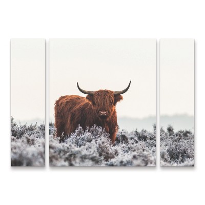 Trademark Fine Art - Jaap van den 'Highlander' Multi Panel Art Set Large 3 Piece