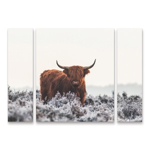 Trademark Fine Art - Jaap van den 'Highlander' Multi Panel Art Set Large 3 Piece - 1 of 3