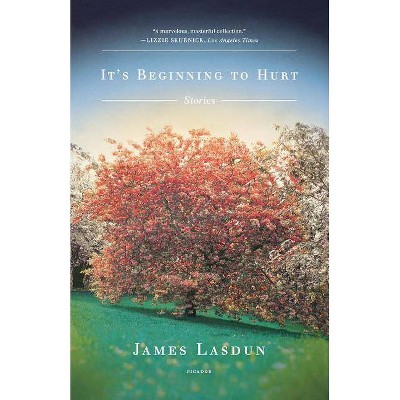 It's Beginning to Hurt - by  James Lasdun (Paperback)