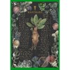Boy's Harry Potter Mandrake Root Recipe T-Shirt - 2 of 4