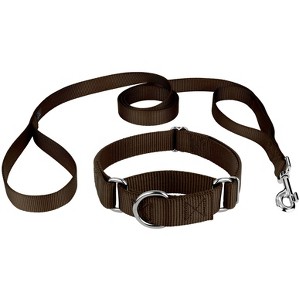 Country Brook Design Martingale Heavyduty Nylon Dog Collar and Double Handle Leash - 1 of 4