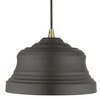 Livex Lighting Endicott 1 - Light Pendant in  Bronze/Antique Brass - 2 of 4