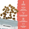 Icelandic+ Soft & Chewy Bites - Salmon, Cranberry & Kelp - 1.8oz Cat Treats - 2 of 4