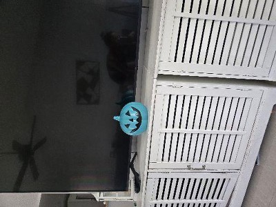 Guest review image 2 of 2, zoom in