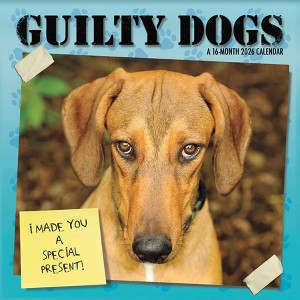 Trends International 2026 Guilty Dog 12"x12" Wall Calendar - 1 of 4