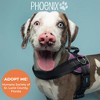 Joyride Harness Premium Advanced No Pull Dog Harness 2.0 - 2 of 4