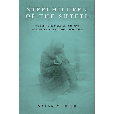 Stepchildren of the Shtetl - (Stanford Studies in Jewish History and Culture) by  Natan M Meir (Hardcover)