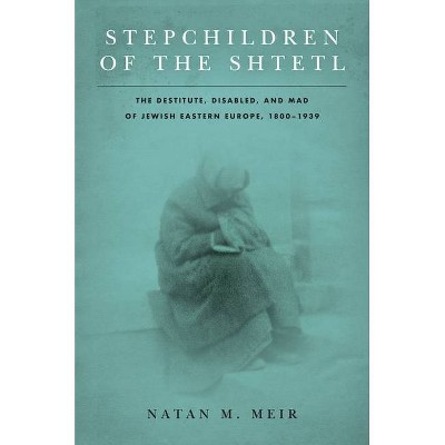 Stepchildren of the Shtetl - (Stanford Studies in Jewish History and Culture) by  Natan M Meir (Paperback)