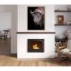 Kate & Laurel All Things Decor Sylvie Bison Canvas Art - 4 of 4