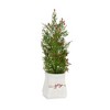 Frosted Christmas Mini Pine Trees in Pots – Set of 2 by Melrose - 2 of 3