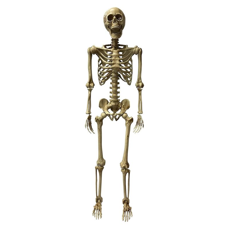 Studio Halloween, LLC Deluxe 5 Foot Poseable Skeleton Halloween Decoration, 1 of 2