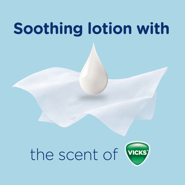 Puffs Plus Lotion with Scent of VICKS Facial Tissue, 4 of 15
