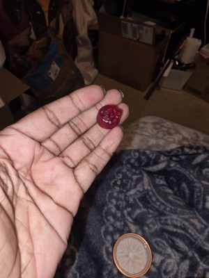 Guest review image 2 of 4, zoom in