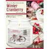 Courtside Market Merry Christmas Winter Cranberry 12.8oz Soy Wax Candle Glass Jar with Brushed Silver Metal Lid - 3 of 3