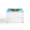 Coco de Paris Frida Kahlo Rabbit 4" x 4" Acrylic Box - Deny Designs - 3 of 4