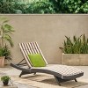 Christopher Knight Home Salem Outdoor Wicker Armless Adjustable Chaise Lounge with Cushion - 2 of 4