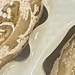 molton gold with white lace