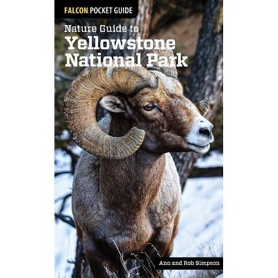 Nature Guide to Yellowstone National Park - (Nature Guides to National Parks) by  Ann Simpson & Rob Simpson (Paperback)