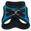 Voyager Step-In Plush Dog Harness for Small and Medium Dogs, Quited Plush, Turquoise, L - 2 of 4