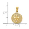 Black Bow Jewelry 14k Yellow or White Gold Filigree Sand Dollar Pendant, 13mm (1/2 Inch) - 3 of 4