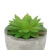 Unique Bargains Artificial Plants Mini Echeveria in Pulp 2.36"x2.36"x3.15" 1 Pc - 4 of 4