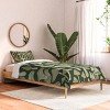 Deny Designs Twin/ Twin Extra Long Avenie Mushroom In Black Forest Comforter and Pillow Sham Green - 2 of 4