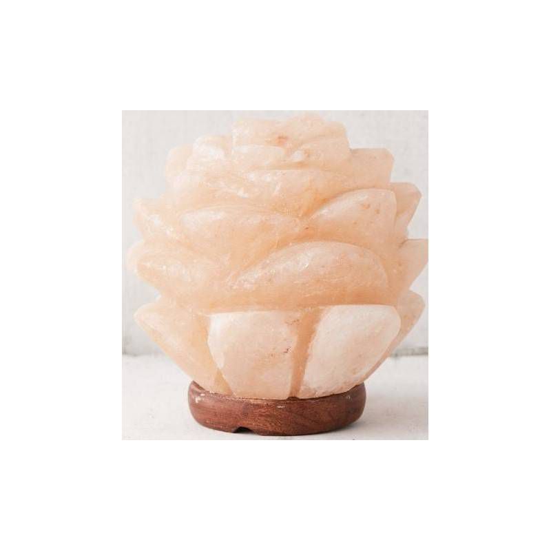 Succulent Himalayan Salt Novelty Table Lamp - Q&#38;A Himalayan Salt, 3 of 7