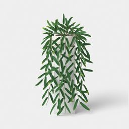 Trailing Leaf Plant - Threshold™