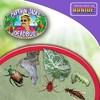 Bonide Chemical Number Captain Jack Dead Bug Dust, 4 Pound - 3 of 4