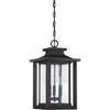 Quoizel Lighting Wakefield 3 - Light Pendant in  Earth Black - 3 of 4