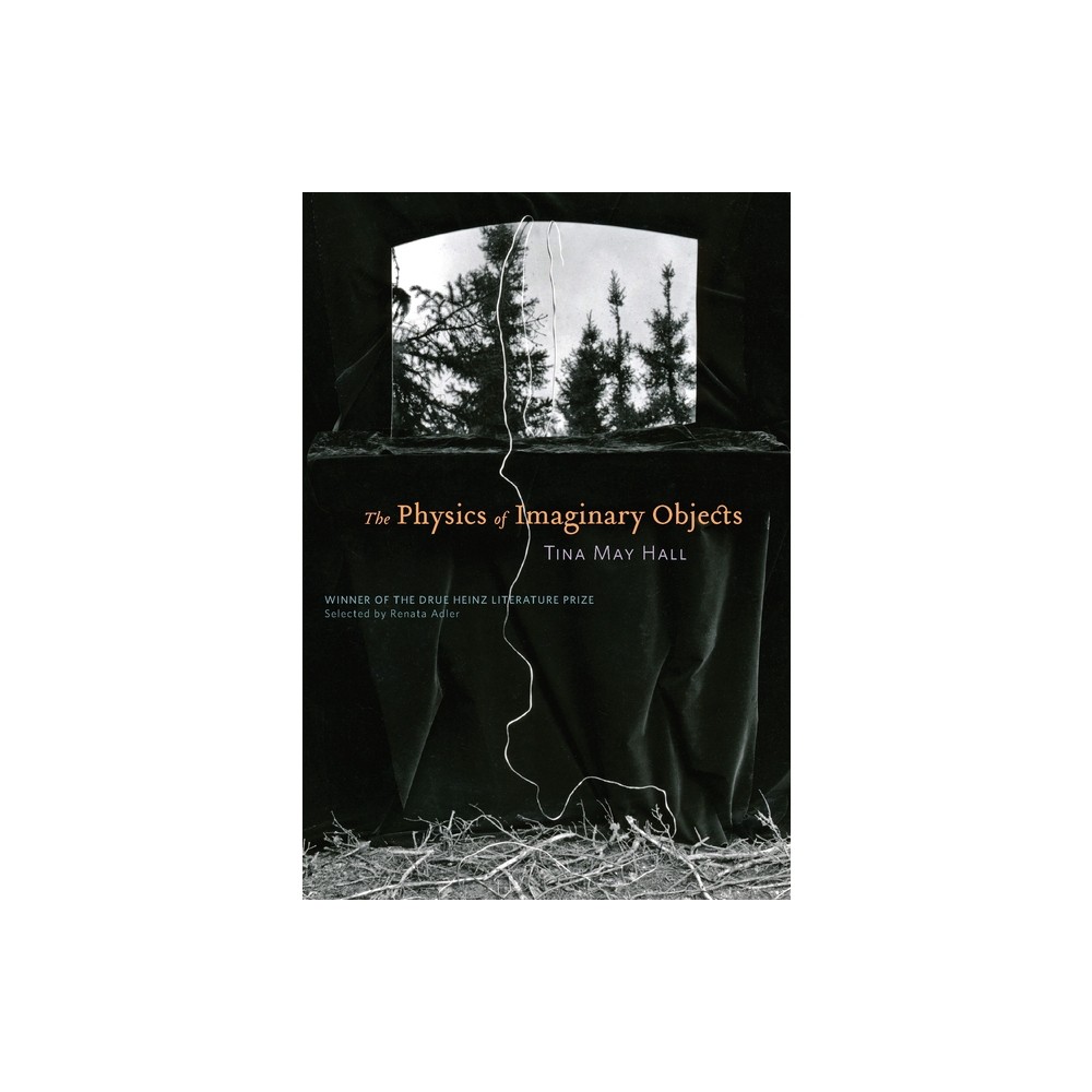 The Physics of Imaginary Objects - (Drue Heinz Literature Prize) by Tina May Hall (Paperback)