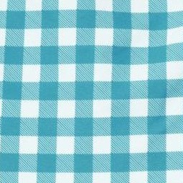 gingham c03