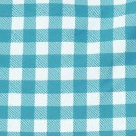 gingham c03