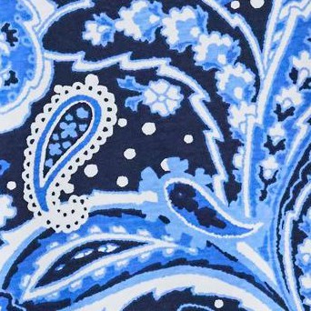 navy paisley