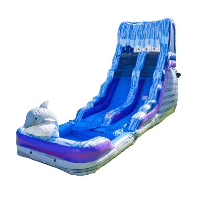 HeroKiddo Dolphin 16' Water Slide with Detachable Pool.