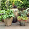 Impresa 20 Pack Pot Feet for Outdoor Planters - Invisible Plant Risers for Medium and Large Sized Heavy Pots - 3/4" Elevators - 3 of 4