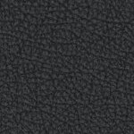 oakland as home 1988