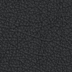 oakland as home 1988