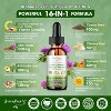 GreenPeople Liver Cleanse Detox Drops - with Milk Thistle Silymarin, Artichoke & Dandelion - 16x Potent Herb Nutrients - 2Fl Oz - 3 of 4