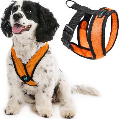 Gooby Orange XLarge Comfort X Head in Harness