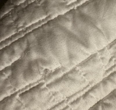 Guest review image 4 of 6, zoom in