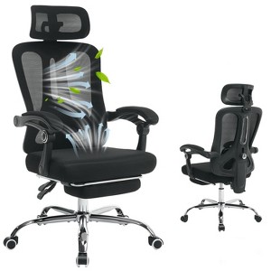 Ergonomic Office Chair, Adjustable Headrest and Lumbar Support, Retractable Footrest, HomeOffice Computer - 1 of 4