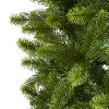 8ft. Slim Spruce Artificial Christmas Tree with 600 Warm White Lights, Instant Connect & 1294 Branches – Festive X-Mas Tree - 4 of 4