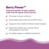 Pure Synergy Organic Berry Power™ – Antioxidant Superfruit Powder – 5.3 oz - 4 of 4