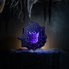 Acrylic LED Halloween Figure – Plug In Web Shape Light 18 inch by Melrose - 2 of 3