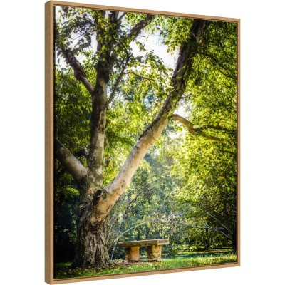Lush Green Tree and Bench Canvas Wall Art with Polystyrene Frame