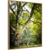 23" x 28" A Place to Ponder Tree by Matt Marten Framed Canvas Wall Art Print - Amanti Art: Hand-Stretched, Polystyrene Frame - 2 of 4