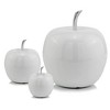 HomeRoots 13" White Aluminum Decorative Apple Tabletop Sculpture - 4 of 4