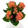 Allstate Floral 14" Orange Kalanchoe Artificial Silk Floral Bouquet - 3 of 4