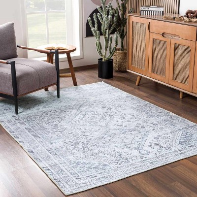 Barny Gray Washable Chenille Rectangle Area Rug 5'3" x 7'3"